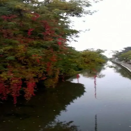 Magnolia